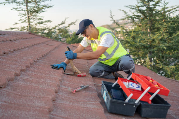 Best Roof Gutter Cleaning  in Inwood, WV